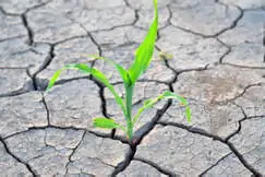 Financial Support Line