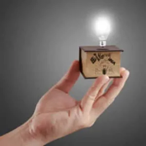 Right Business Structure