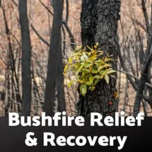 Financial Support Line