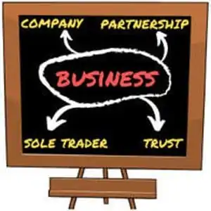 Business Structure