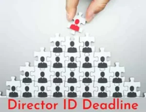 Existing Company Directors