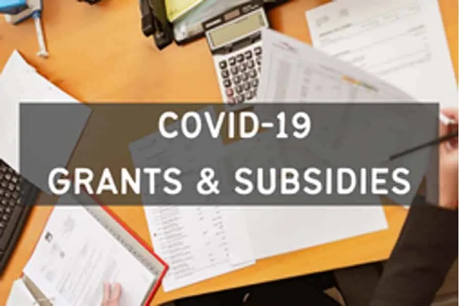 Grants And Subsidies