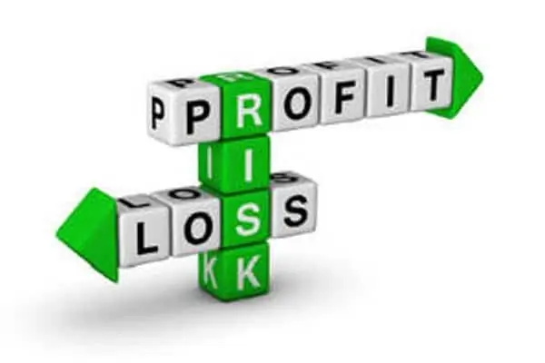 The Financial Risk